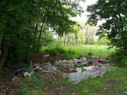 Obr. 1 Nelegální skládka – typický příklad nesprávného nakládání s odpady