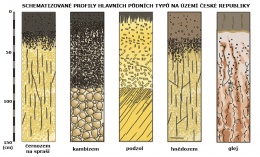 Obr. 2 Půdní profily hlavních půdních typů na území ČR