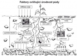 Obr. 2 Faktory ovlivňující úrodnost půdy