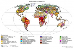 Obr. 2 Mapa skupin půdních typů ve světě, 2003 (angl.)