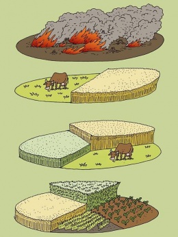 Obr. 2 Ilustrace žárového/přílohového/trojpolního a střídavého zemědělství a hospodaření