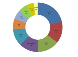 Graf 2 Top 10 obchodních řetězců podle počtu zákazníků v roce 2013 [%]